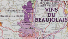 Beaujolais Vintage Chart